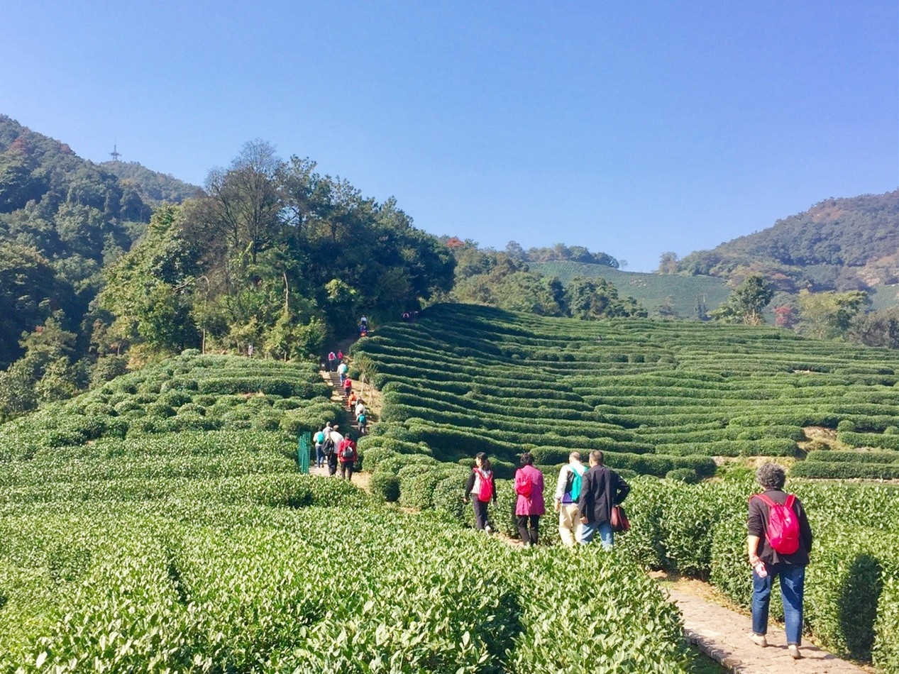 活動圖片1 (1).jpg